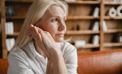 Menopause Support